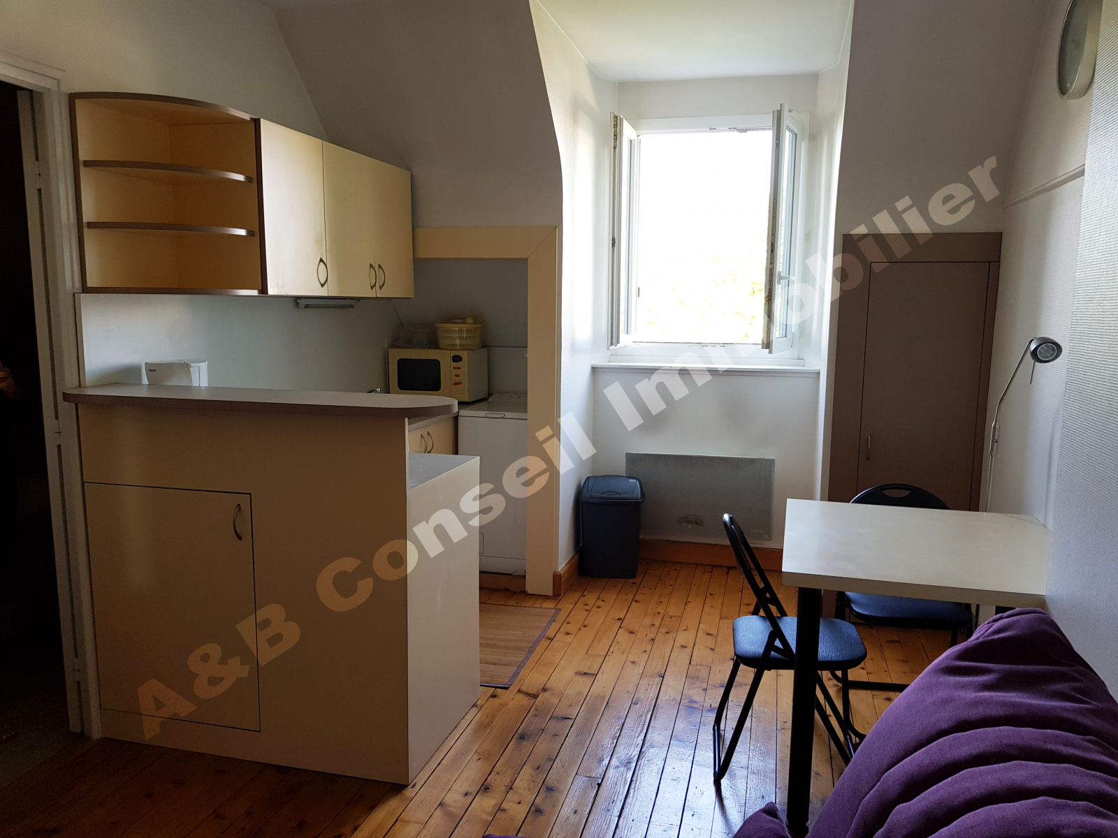 Image_1, Appartement, Troyes, ref :2010416